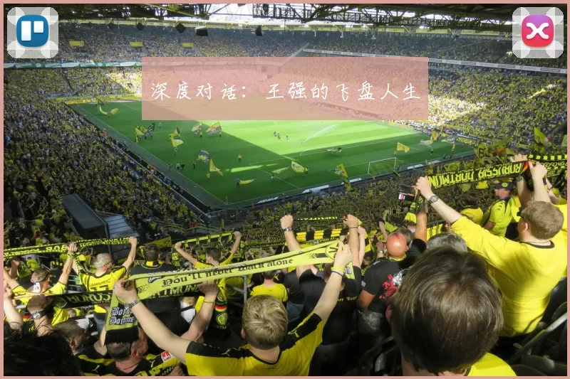 深度对话：王强的飞盘人生