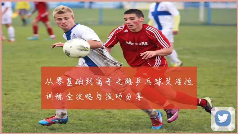 从零基础到高手之路乒乓球灵活性训练全攻略与技巧分享