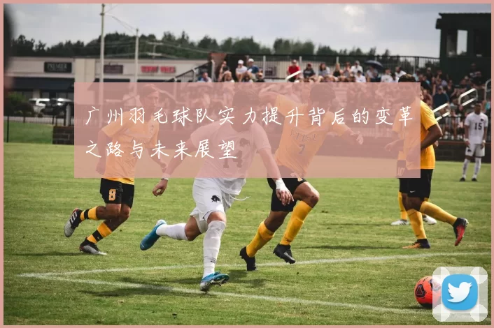 广州羽毛球队实力提升背后的变革之路与未来展望