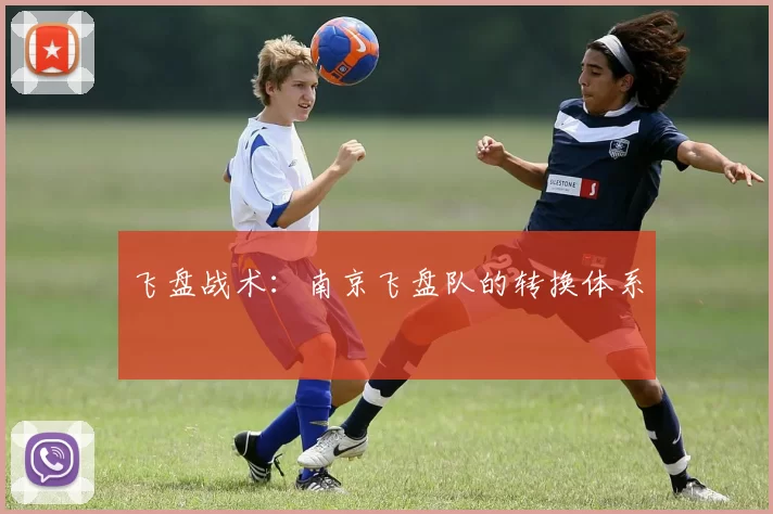 飞盘战术：南京飞盘队的转换体系